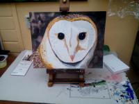Barn Owl - Watercolour Paintings - By Garry Fowler, Hand Painted Painting Artist