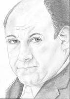 James Gandolfini - Pencil  Paper Drawings - By Michele Lovaglio-Watson, Freehand Drawing Artist