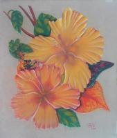 Florals  Foliage - Colourful Biscus - Pastel Pencils