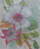 Florals  Foliage - Tropical Neighbors - Watercolor Pencil