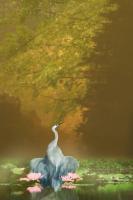Silent Moments - Digital Painting Digital - By Pamela Phelps, Surrealistic Birds Digital Artist