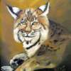Glaze - Oil Paintings - By Mildred Savage, Hand Painted Painting Artist