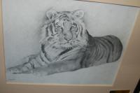 Tiger Pencil Drawing - Graphite Pencil Drawings - By Efcruz Arts, Stylize Drawing Artist