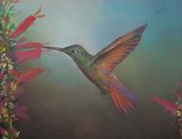 Hummingbird - Acrylic Paint Paintings - By Efcruz Arts, Modern Classical Painting Artist