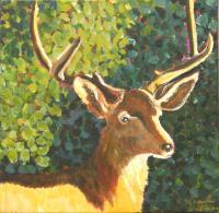 Buck - Acrylic On Canvas Paintings - By Karen Williams, Expresionism Painting Artist