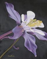 Purple Columbine - Oil Paintings - By Sunanta Deangdeelert, Flower Painting Artist