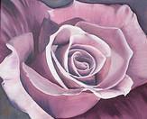 Pink Rose - Oil Paintings - By Sunanta Deangdeelert, Flower Painting Artist