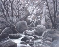 Black And White - Serenity2 - Charcoal And Pastel