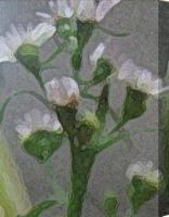 Blooming Buds - Cameracomputer Paint Digital - By Linda Nesbit-Floria, Digital Photograph Digital Artist