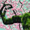 Cherry Tree - Acrylic Paintings - By Bridget Jones, Nature Painting Artist