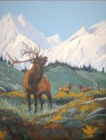 Colorado Wildlife - Royal Decree - Acrylic On Canvas