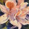 Azalea Blast - Watercolor Paintings - By Pat Graham, Realism Painting Artist