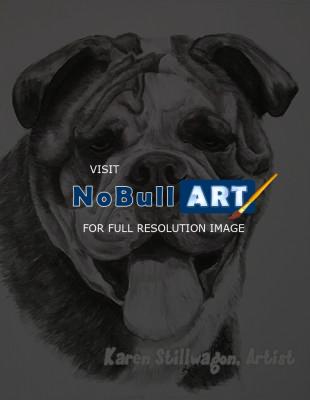 Charcoal Drawings - Frank - Charcoal