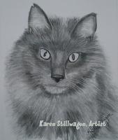Lucifer - Charcoal Drawings - By Karen Stillwagon, Realism Drawing Artist
