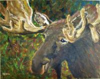 Moose Study - Acrylic Paintings - By Matthew Read, Loose Traditional Painting Artist