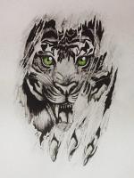 Tiger Attack - Pencil  Paper Drawings - By Steph Deskins, Traditional Drawing Artist