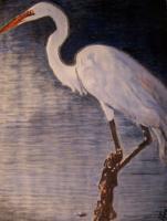Great Egret - Watercolor Paintings - By Wayne Vander Jagt, Impressionistic Painting Artist
