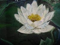 Lotus - Oil Paint On Canvas Paintings - By Sachi Weerasooriya, Realism Painting Artist