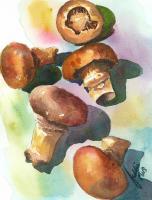 Magic Mushrooms - Watercolor Paintings - By Freddie Combs, Realistic Painting Artist