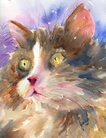 Animals - Whiskers - Watercolor