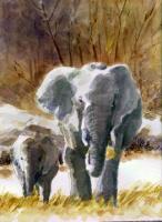Elephants - Watercolor Paintings - By Freddie Combs, Realistic Painting Artist