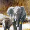 Elephants - Watercolor Paintings - By Freddie Combs, Realistic Painting Artist
