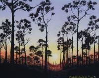Sunsets - Silohette Of Pines - Acrylic On Canvas
