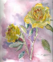 Sunshine Rose - Water Colour Paintings - By Marguerite De La Harpe, Free Original Style Painting Artist