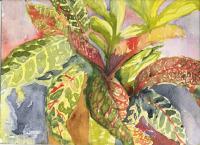 Floral Watercolour - Josephs Technicolor Dreamcoat Plant - Water Colour