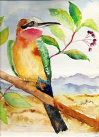 South African Bird Life - Bee Eater Bird - Water Colour