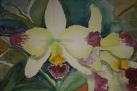 Orchid Cascade - Water Colour Paintings - By Marguerite De La Harpe, Free Original Style Painting Artist