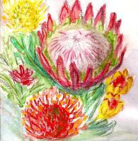 Protea Greeting Card - Water Colour Paintings - By Marguerite De La Harpe, Free Original Style Painting Artist