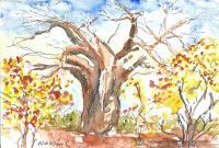 Baobab Tree Of Africa - Water Colour Mixed Media - By Marguerite De La Harpe, Free Original Style Mixed Media Artist