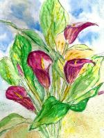 Magenta Lilies - Water Colour Paintings - By Marguerite De La Harpe, Free Original Style Painting Artist