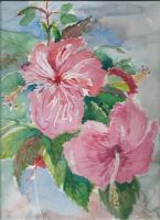 Hibiscus Blooming - Water Colour Paintings - By Marguerite De La Harpe, Free Original Style Painting Artist