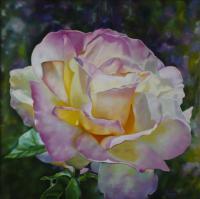 The Beauty Of The Rose - Oil On Canvas Paintings - By Teresa Ramsey, Realism Painting Artist