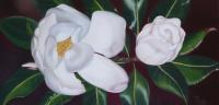 Duo Magnolia - Oil On Canvas Paintings - By Teresa Ramsey, Realism Painting Artist