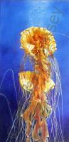 Jelly Of The Sea - Oil On Canvas Paintings - By Teresa Ramsey, Realism Painting Artist