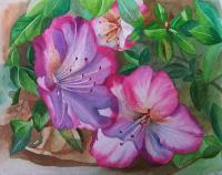 Pink Deep Azaleas - Watercolor Paintings - By Teresa Ramsey, Realism Painting Artist