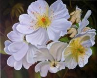 Floral - Cherokee Rose - Oil On Canvas