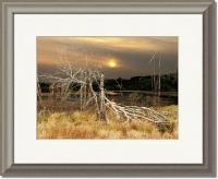 Barren Sundown - Photoanipulations Digital - By Pamela Phelps, Fantasy Digital Artist