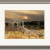 Barren Sundown - Photoanipulations Digital - By Pamela Phelps, Fantasy Digital Artist