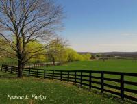 Rustic Countryside - Springtime At The Farm - Digital Photography