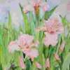 Pink Iris With Dragonfly - Water Color Paintings - By Margaret Older, Realism Painting Artist