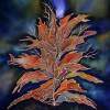 Autumn Nights - Silk Painting Other - By Ursula Schroter, Abstract Other Artist