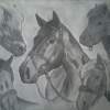 Horses - Pencils Drawings - By Tabitha Lagodzinski, Black And White Drawing Artist