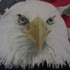 Eagle - Acrylic Paintings - By Cole Soucie, Realism Painting Artist