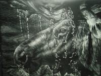 Shower - Scratchboard Other - By Joanna Gates, Realism Other Artist