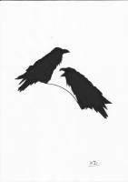 Ravens - Ink Drawings - By Pseudonym ~, Silhouette Drawing Artist
