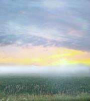 Morning Mist - Photography Digital - By Artistry By Ajanta, Landscape Digital Artist